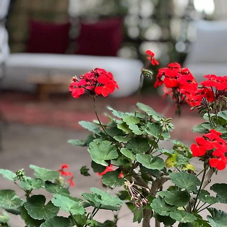 Hostal Dar Tadout Aït Ourir Exterior foto