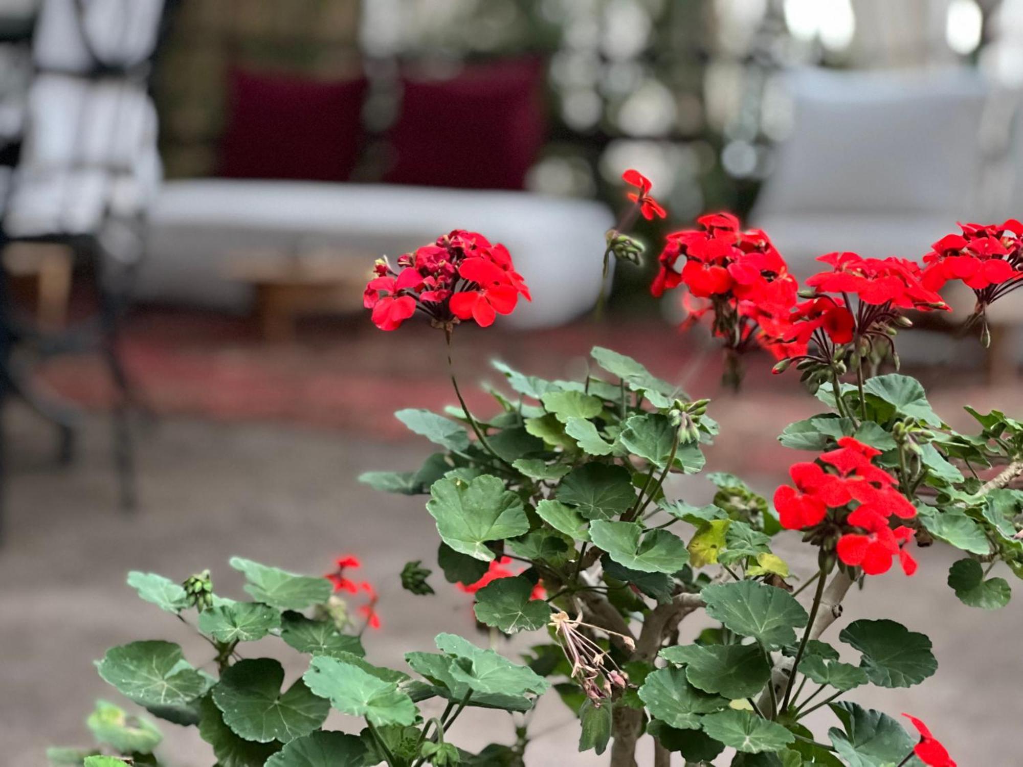 Hostal Dar Tadout Aït Ourir Exterior foto